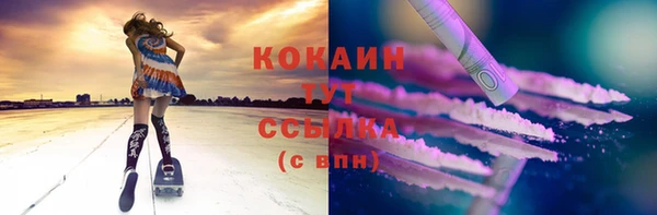стаф Аркадак