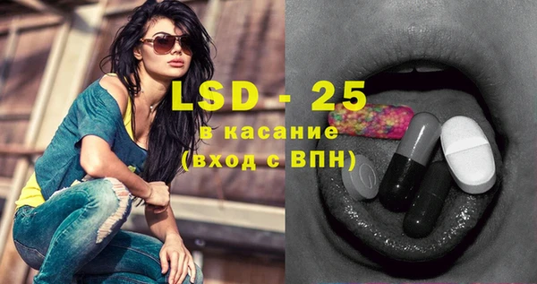 стаф Аркадак