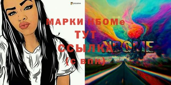 стаф Аркадак