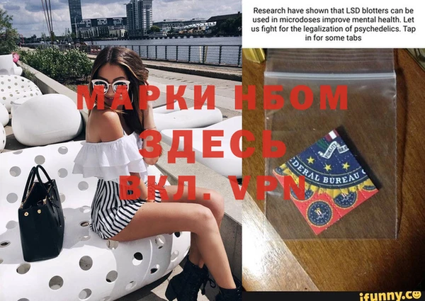 стаф Аркадак