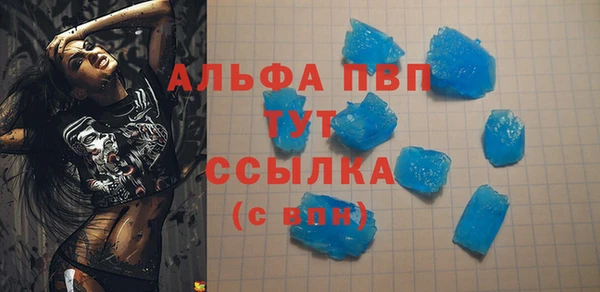 стаф Аркадак