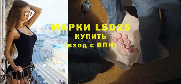 стаф Аркадак