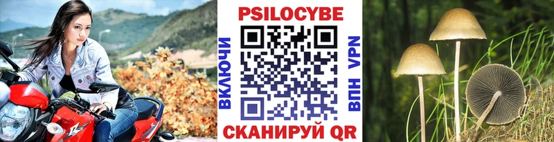 Галлюциногенные грибы Cubensis продажа наркотиков Бежецк